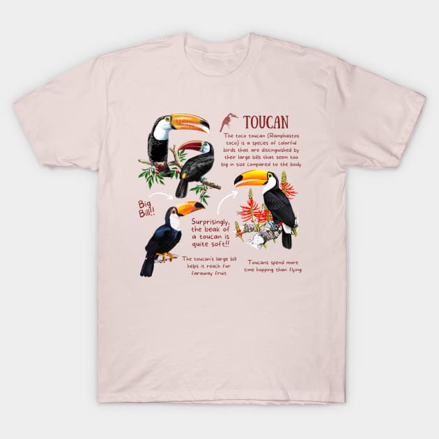 Animal Facts - Toucan T-Shirt by Animal Facts and Trivias